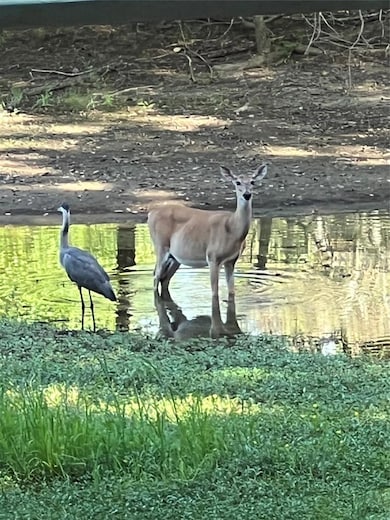 435562 E 1630 Rd, Tuskahoma, OK 74574 - photo 5
