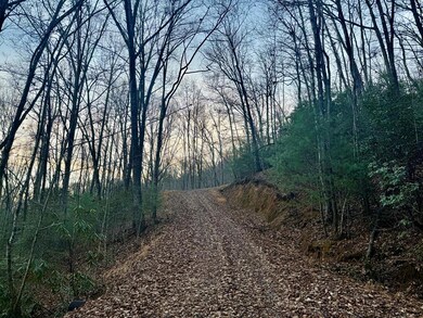 0 Bradley Creek Rd unit 26042870, Cowee, NC 28734 - photo 7