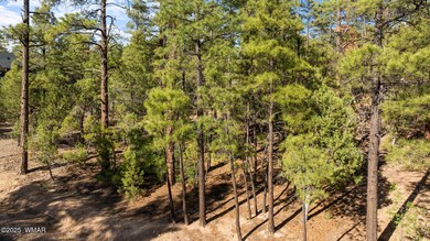 twinflamerealestatemedia-2_(2000)