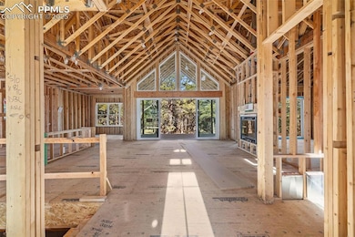 10697 Alamar Way, Black Forest, CO 80908 - photo 4