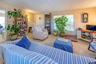 99 Rose Peak Rd, Dayton, NV 89403 - photo 3