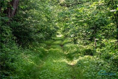 Trails throughout woods