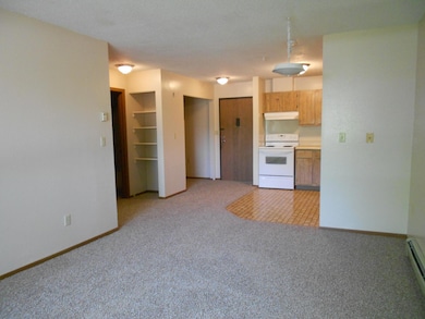 126 1st St SE unit 14, Ortonville, MN 56278 - photo 6