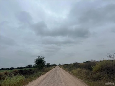 9.5 Mi N Doffing Rd, Mission, TX 78574 - photo 5