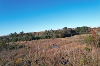 TBD Carroll Rd, Latta, SC 29565 - photo 7