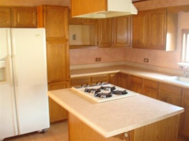 12303 Cedar Lake Rd, Crown Point, IN 46307 - photo 3