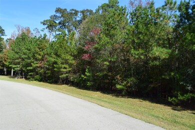 0 Sky Forest Cir unit 81862688, Magnolia, TX 77355 - photo 3