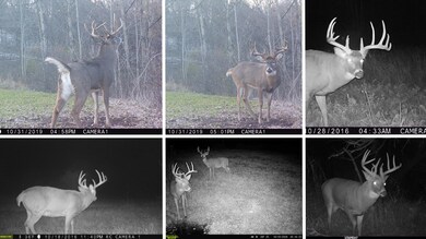 13376 Quarry Dr, Hillsboro, WI 54634 - photo 5