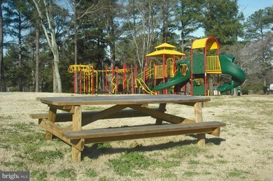 0 Shortleaf unit 1003839718, Ruther Glen, VA 22546 - photo 4