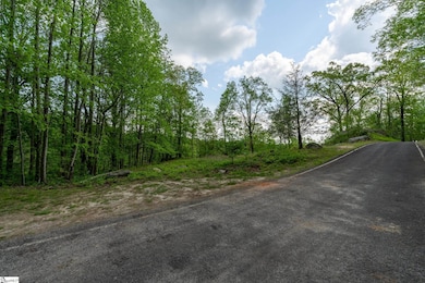 20 Falling Star Way, Landrum, SC 29356 - photo 3