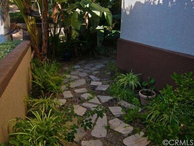 Lush tropical landscape