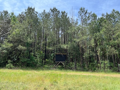 0 Judydahl Rd unit 11616615, Woodville, MS 39669 - photo 6