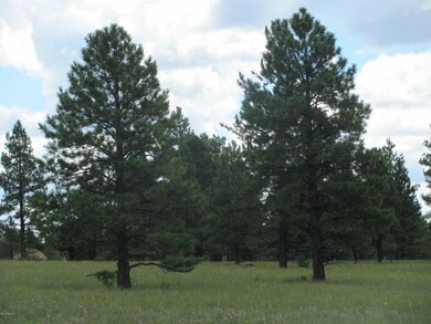 Pugh Lockett Ranches 16E 090