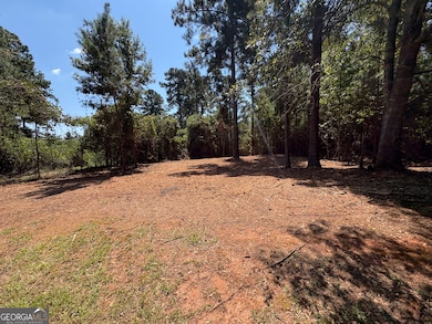 TRACTS 2-4 Old Rumble Rd, Forsyth, GA 31029 - photo 3