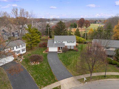 DJI_20241118142843_0351_D