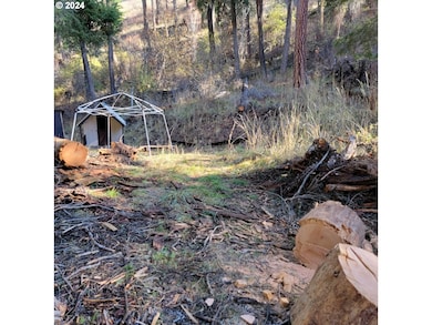 0 River Canyon Rd unit TL 900, Imnaha, Or, OR 97842 - photo 2