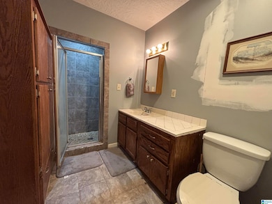 233 Gate 5 Rd, Alexandria, AL 36250 - photo 6