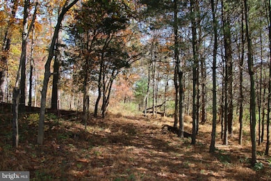 0 Tree Farm Ln, South River, VA 22610 - photo 3