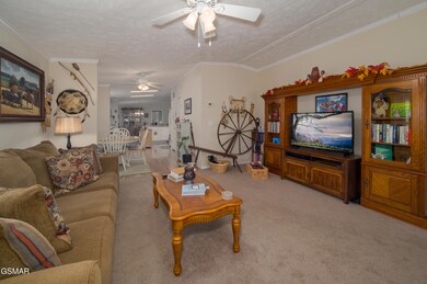 Real Estate - Matthew Jones - 1869 Begon