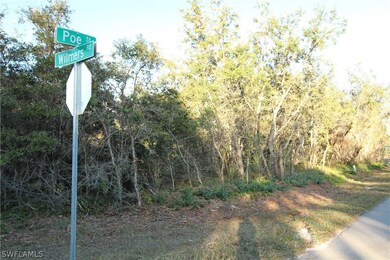 ON THE CORNER OF WILMERS AVENUE AND POE STREET