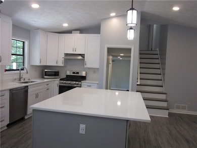Kitchen featuring appliances with stainless steel finishes, under cabinet range hood, dark wood-style flooring, backsplash, and white cabinetry