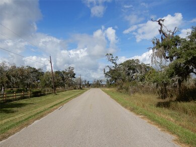 808 County Road 388c, Brazoria, TX 77422 - photo 5