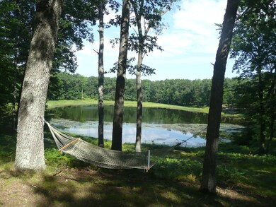 hammock view