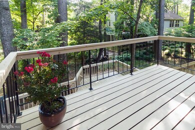 462 Cranes Roost Ct, Annapolis, MD 21409 - photo 3