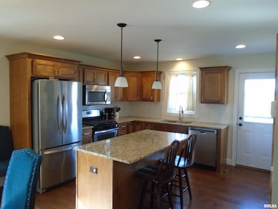 119 14th Ave, de Witt, IA 52742 - photo 4