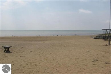 4022 E Michigan Ave, Au Gres, MI 48703 - photo 3