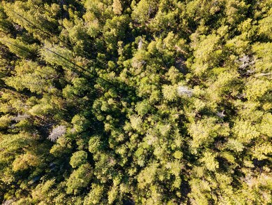 DJI_0659HDR01