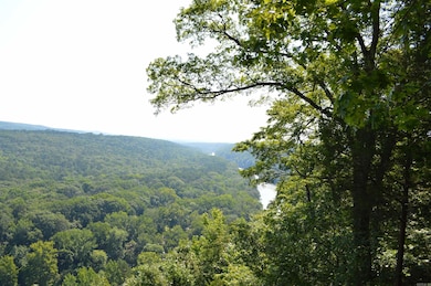 Lots 12 & 13 Timberline Dr, Heber Springs, AR 72543 - photo 6