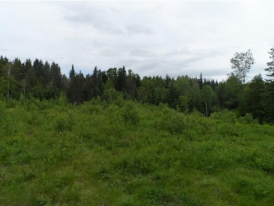 20 Gray Rd, Colebrook, NH 03576 - photo 2