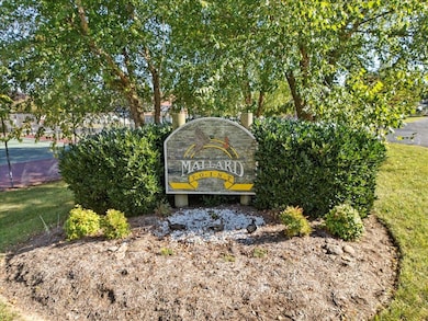 4591 Mallard Point Way unit 27, Dublin, VA 24084 - photo 4