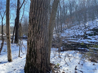 29507 Pinnacle Lake Rd, New Florence, MO 63363 - photo 5