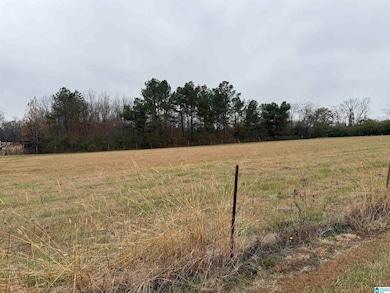 325 Washington Ave, Wellington, AL 36279 - photo 4