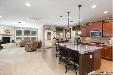 10652 Hibiscus Cove, Helotes, TX 78023 - photo 4