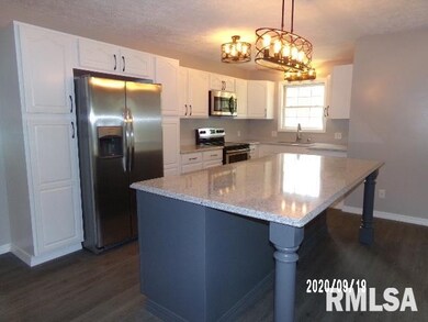 195 Jones Rd, Harrisburg, IL 62946 - photo 7