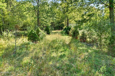 189 Sutton Rd, Cornwallville, NY 12418 - photo 6