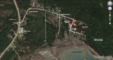 Wide View Google Earth