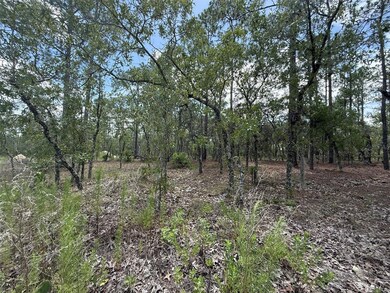 0 NW Tree Top Rd unit MFROK225311, Dunnellon, FL 34431 - photo 3