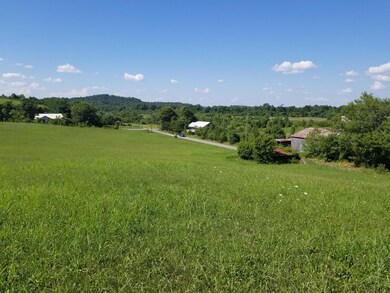 Lot 43 Tabor Rd, Greeneville, TN 37743 - photo 3