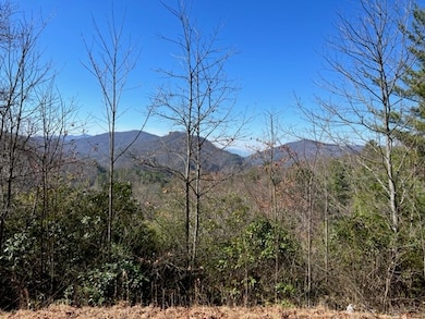 Lot 4 Mystic Ridge Way W, Topton, NC 28734 - photo 2