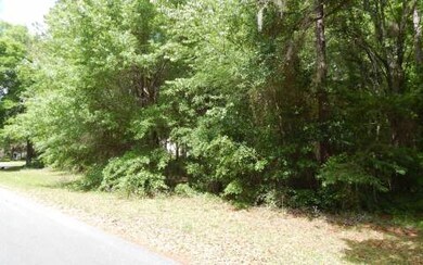 0 NW Scenic Lake Dr unit 87119, Lake City, FL 32055 - photo 3