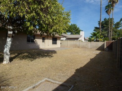 023-247985 BACKYARD (3)