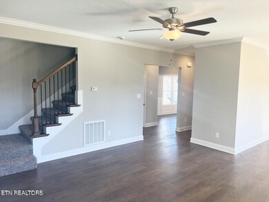 2257 Nora Mae Rd, Knoxville, TN 37932 - photo 6