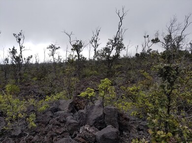 Lots are rocky and native flora, some small Ohias, cloudy day when picture was taken, when sun is shining view are beautiful