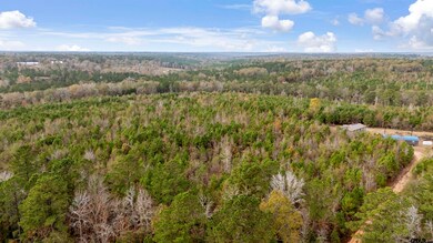 2528 Farm To Market Road 1798 W, Laneville, TX 75667 - photo 7