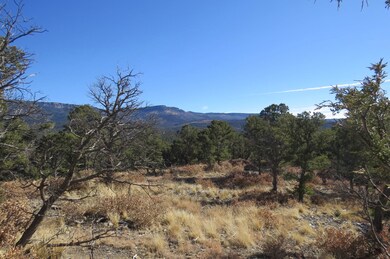 0 Raton Overlook unit Parcel 8 18-2, Trinidad, CO 81082 - photo 7