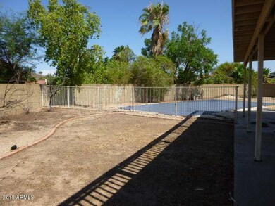 BACKYARD (3)